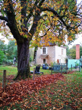 Gite aux bonheurs des ânes